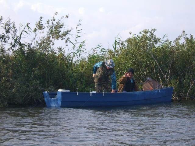 delta rosu 2005 - rosu-2005-009.jpg